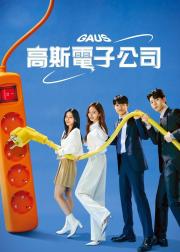 高斯电子公司