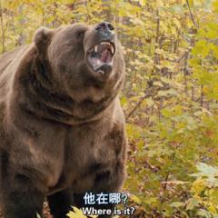 旷野孤雏 - Against-the-Wild-1.jpg