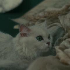 三个不道德的女人 - epDLIbwr6LG3nsMi9MpeLo896xW.jpg