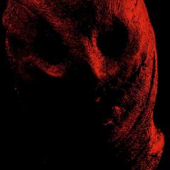 夜魔 - ocquvJLRsakyuWx4Ml3yk8gw483.jpg