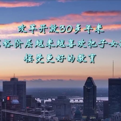 西雅图寻爱记 - 24807a519ad19493.png