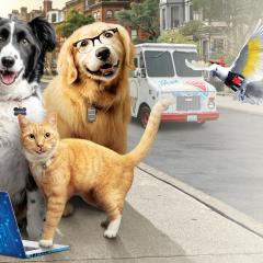猫狗大战3：爪爪集结！ - 5nBpiGnaHlSlldZWb3NOH0lXBqD.jpg