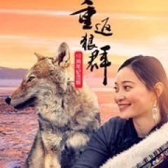 重返狼群——10周年纪念版 - p1770686030636637626.jpg