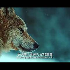 血狼犬 - The-Blood-Hound-1.jpg
