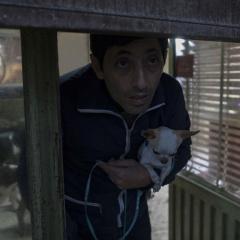 犬舍惊魂 - 1pjzIKGa9UZ5XDcAIueunT9rDSL.jpg