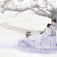 七夜雪 - y4P3F830H8y2YCKW3BRHD85YHq.jpg