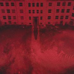 黑暗的森林 2 - nxiJfY8N2LSXPqmhyz2aWwMqU2y.jpg
