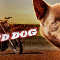 红犬历险记 - 29mOqCQBf9nCc83Kx0sGJlTuFHC.jpg