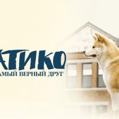 忠犬八公的故事 - ywTMPFrcKyqoh6DUODEV9zQMH1e.jpg
