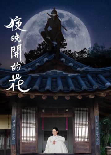 夜晚开的花