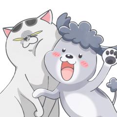 养狗与猫每天都很开心 - vzXuQlYneBYsxUJsuW0CdyUFaM0.jpg