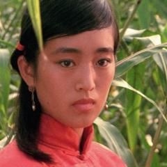 红高粱 - 5WTVU4t7T0an1YOf9Zx8oNXobhB.jpg