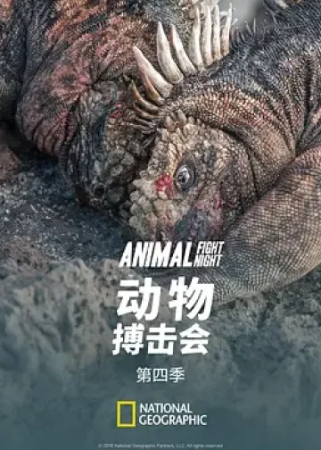 动物搏击会 第四季
