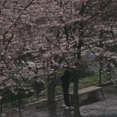 蓝色青春 - SDx55Wr9BhBaB10pgeHcLn8Rol.jpg