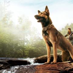 军犬麦克斯 - uvhkErJn446sX2YAN9PDGcfTLUD.jpg