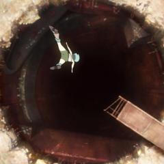 颠倒的帕特玛 - 8A7B6bTsDg5C4qqgfWVPCOVvBe6.jpg