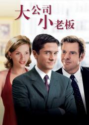 大公司小老板