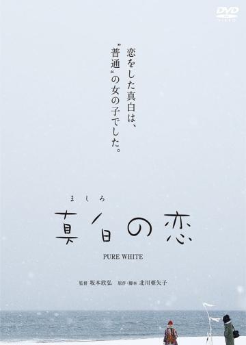 真白之恋