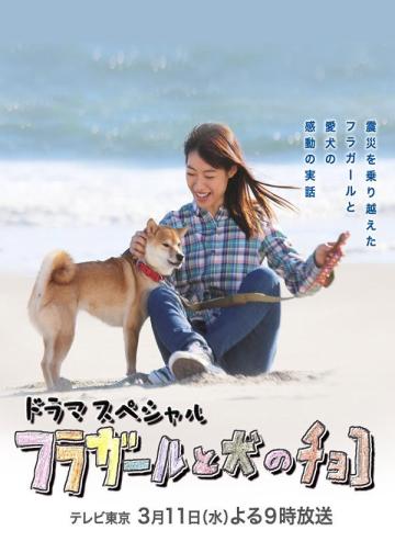 フラガールと犬のチョコ