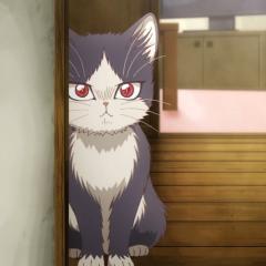 同居人是猫 - iLbwSGVNBm05IR8LjpddnIHVzW4.jpg
