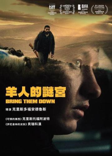 打倒他们