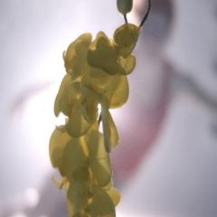 逆流的色彩 - ys8OyvL5QBPD0uTEd1D7w0jy8aR.jpg