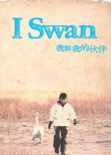 我和我的伙伴
