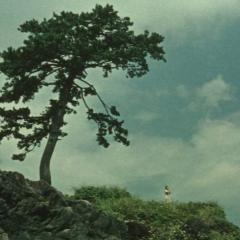 青空娘 - rZcCm64ZfpHGkBxIB97SrdQgkOK.jpg