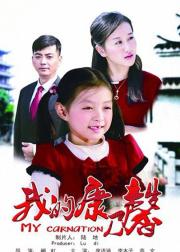 我的康乃馨