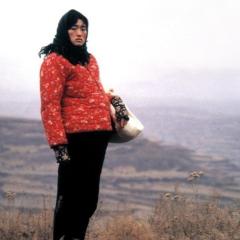 秋菊打官司 - rtW6heeSJhFzudJXIj6JQap8hAC.jpg