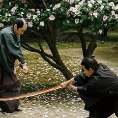 山茶花飘零 - dnQDixNuzutJpfLW8KOxYMi90mP.jpg