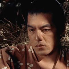 宫本武藏 - mIzOvSj2KejkyMlkeIyAXqXPtzH.jpg
