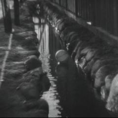 人情纸风船 - 5X9WG2W5sMFllZ3zfzU2VzyBe0A.jpg
