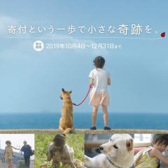 请告诉我去车站的路 - 7jsdehVajZJeJYbZYXrGtb6QkLH.jpg