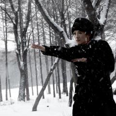 一代宗师 - jpIwjtCDofYnQBpv8lelMzTSNKs.jpg