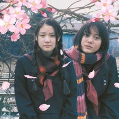 花与爱丽丝 - fLnhybyUSkquSltxuQBB5Rq064h.jpg