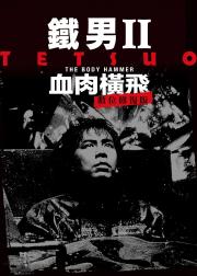 铁男2：血肉横飞