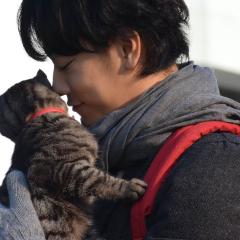 假如猫从世界上消失了 - fFoP2iomMwwZcTqYSRpPWzO2k5E.jpg