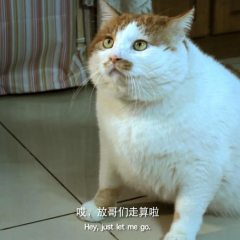 胖虎日记 - ff6919f7b5148f9a.png