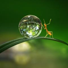 Tiny World - ke9rFriyN7NLKe6d0EBh1wJxYxE.jpg