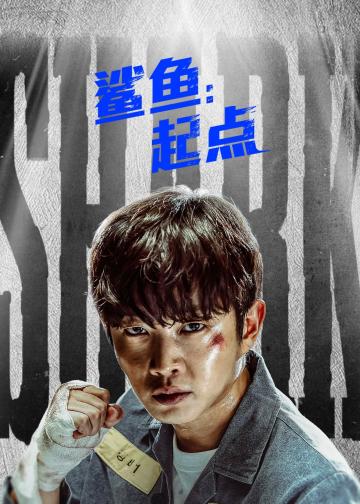 鲨鱼：起点
