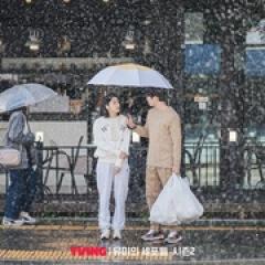 柔美的细胞小将 第二季 - p1742228722101719985.jpg