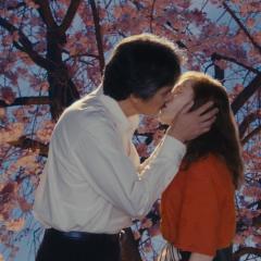 日本的西多妮 - yqqKFc4TygxePTV3yk6AuiATDo9.jpg