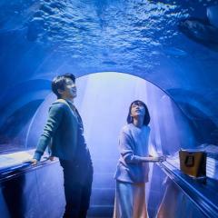 你的情歌 - q0iTdWG7K2dX2KQjKFCe8LRbjgT.jpg