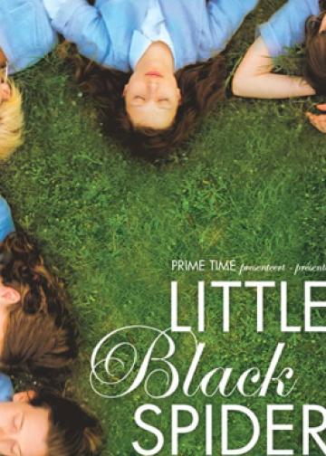 Little Black Spiders