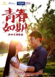 青春如期