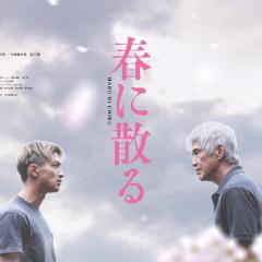 凋零在春天 - adiTFAqpZtxuWuUYMV0Og9nJ9bQ.jpg