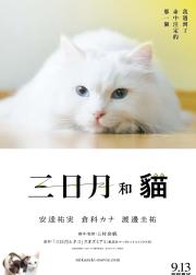 三日月与猫