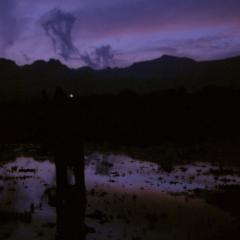 柳暗花明 - 7vpEYwBuIB5QJhGttMmUYHtd83Q.jpg