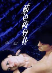 蓝丝绒